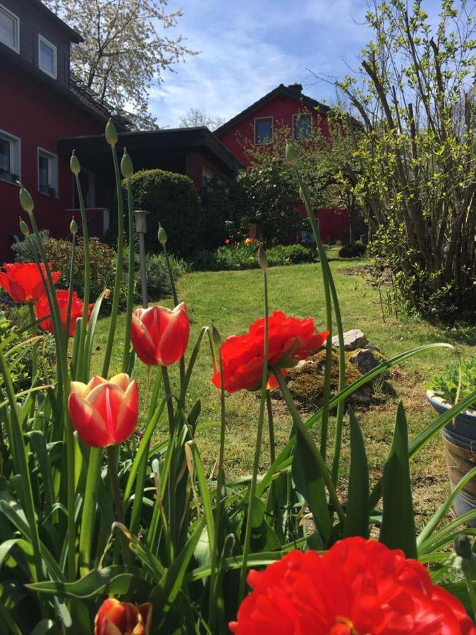 Ferienwohnung Auenthal Koditz 外观 照片